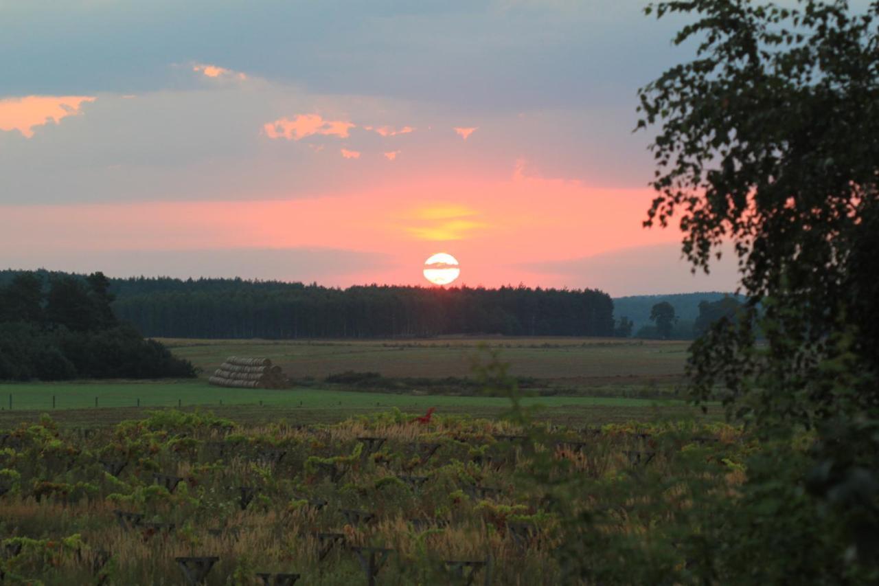 Winnica Debogora Dobiegniew Екстериор снимка